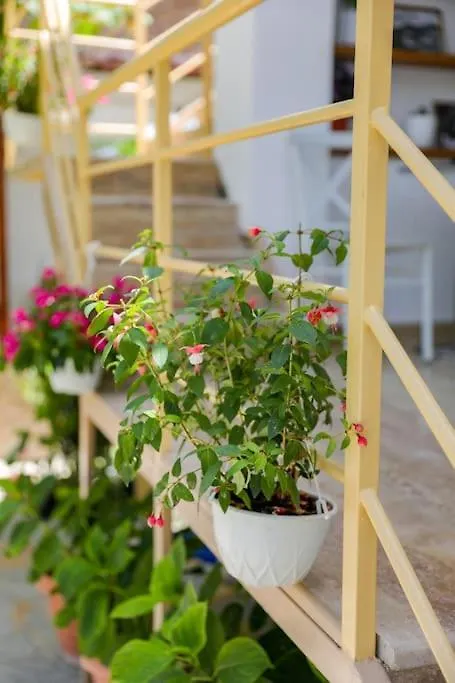 Cereni Guesthouse Berat Holiday home